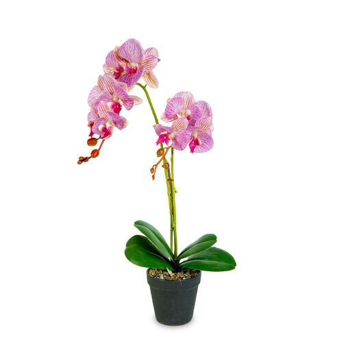 11918 • Műnövény dekoráció - orchidea - 2 féle - 54 cm