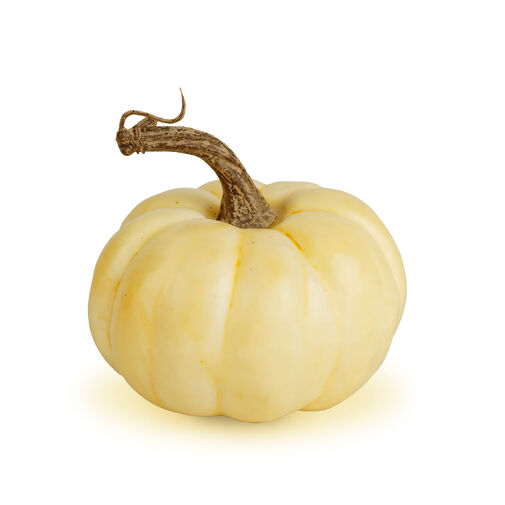 59013 • Őszi dekoráció - tök - 6 féle - műanyag